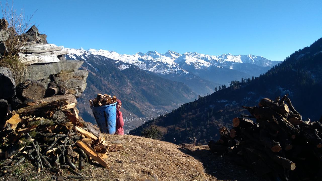 Welcome Homestay - Manali (Himachal Pradesh), Manali